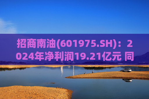 招商南油(601975.SH)：2024年净利润19.21亿元 同比增长23.38%