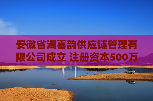 安徽省淘喜韵供应链管理有限公司成立 注册资本500万人民币