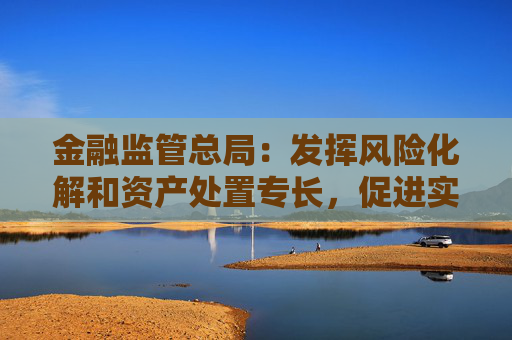 金融监管总局：发挥风险化解和资产处置专长，促进实体经济健康发展