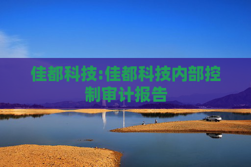 佳都科技:佳都科技内部控制审计报告