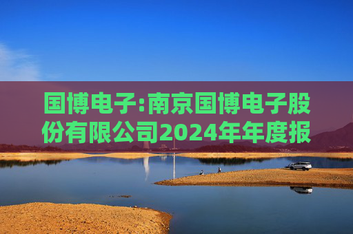 国博电子:南京国博电子股份有限公司2024年年度报告  第1张