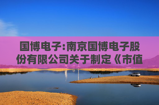 国博电子:南京国博电子股份有限公司关于制定《市值管理办法》的公告  第1张
