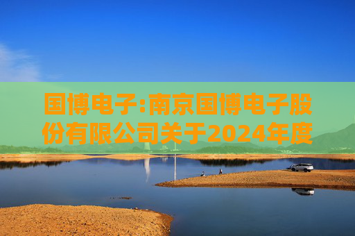 国博电子:南京国博电子股份有限公司关于2024年度募集资金存放与使用情况的专项报告  第1张
