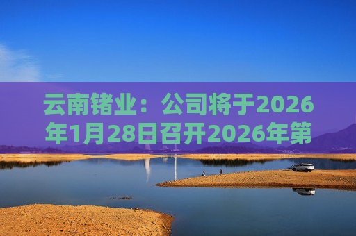 云南锗业：公司将于2026年1月28日召开2026年第一次临时股东会