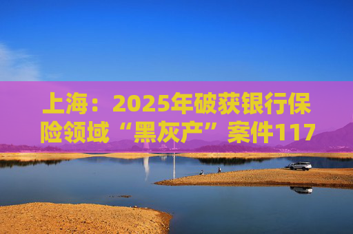上海：2025年破获银行保险领域“黑灰产”案件117起 持续净化金融生态