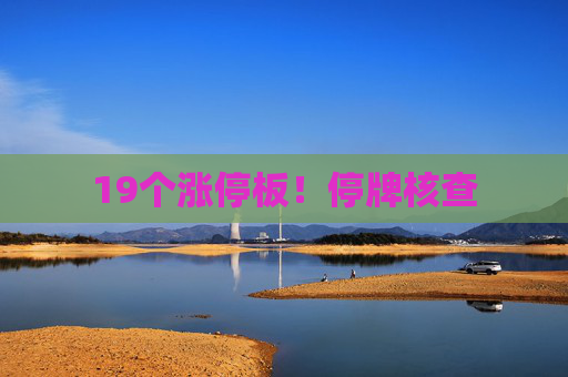 19个涨停板！停牌核查