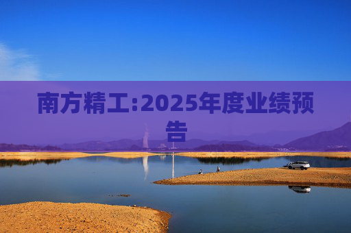 南方精工:2025年度业绩预告