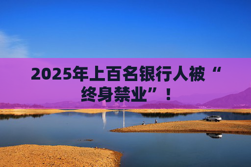 2025年上百名银行人被“终身禁业”！  第1张