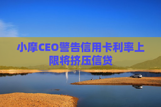 小摩CEO警告信用卡利率上限将挤压信贷