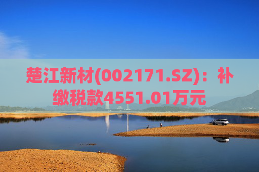 楚江新材(002171.SZ)：补缴税款4551.01万元