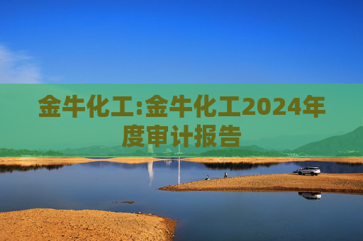 金牛化工:金牛化工2024年度审计报告  第1张