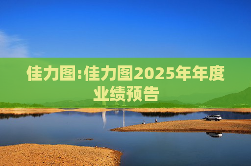 佳力图:佳力图2025年年度业绩预告