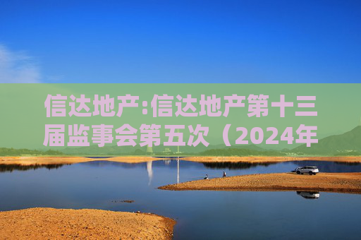 信达地产:信达地产第十三届监事会第五次（2024年度）会议决议公告  第1张