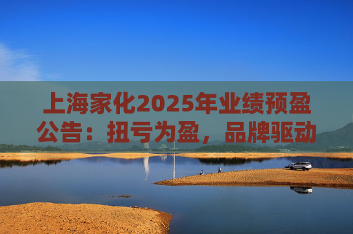 上海家化2025年业绩预盈公告：扭亏为盈，品牌驱动重回增长轨道