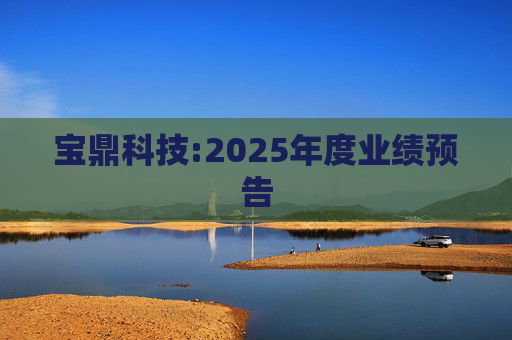 宝鼎科技:2025年度业绩预告