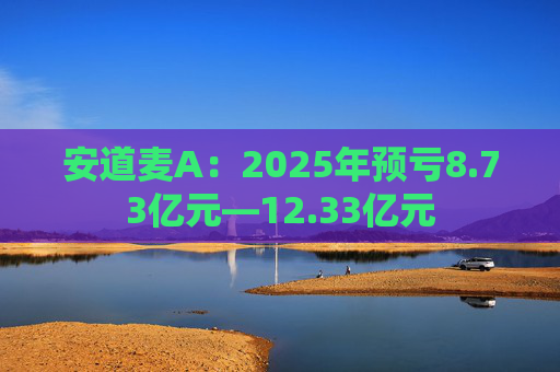 安道麦A：2025年预亏8.73亿元—12.33亿元