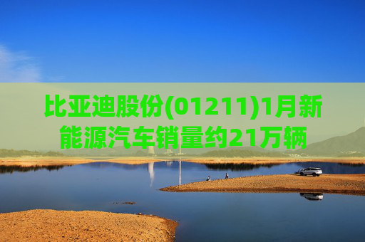 比亚迪股份(01211)1月新能源汽车销量约21万辆