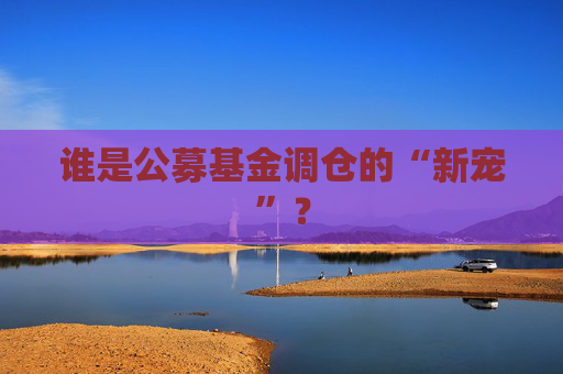 谁是公募基金调仓的“新宠”？  第1张