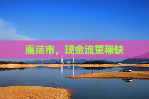 震荡市，现金流更稀缺  第1张