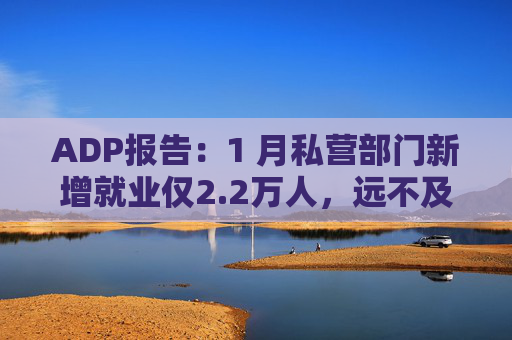 ADP报告：1 月私营部门新增就业仅2.2万人，远不及预期