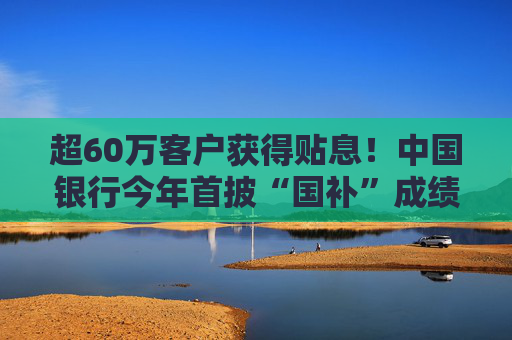 超60万客户获得贴息！中国银行今年首披“国补”成绩单 多家银行称去年消费贷“显著增长”