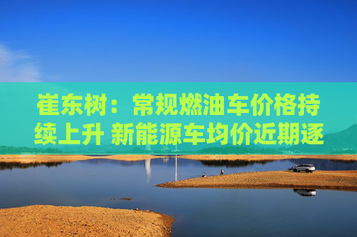 崔东树：常规燃油车价格持续上升 新能源车均价近期逐步下降  第1张