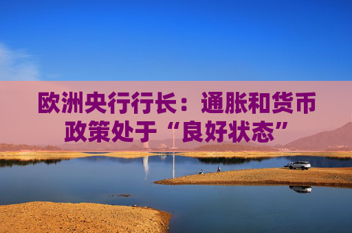 欧洲央行行长：通胀和货币政策处于“良好状态”