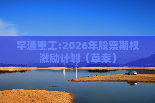 宇通重工:2026年股票期权激励计划（草案）
