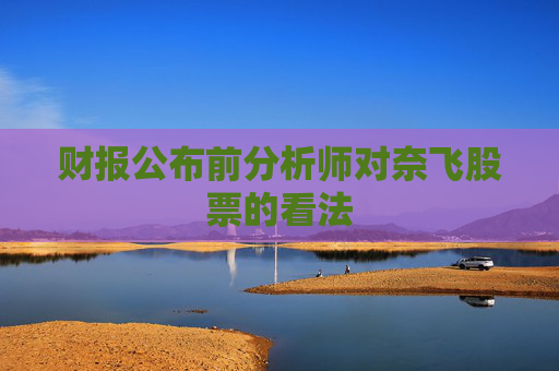 财报公布前分析师对奈飞股票的看法