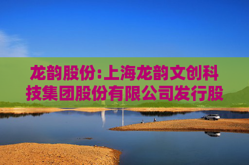 龙韵股份:上海龙韵文创科技集团股份有限公司发行股份购买资产暨关联交易预案