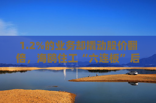 1.2%的业务却撬动股价翻倍，海鸥住工“六连板”后跌停，在越建厂能否扛住关税冲击？