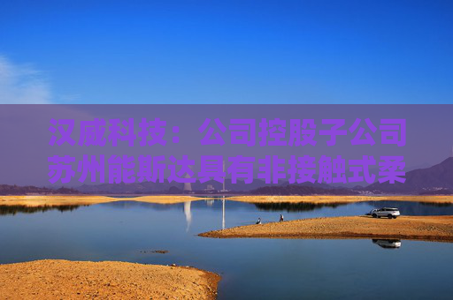 汉威科技：公司控股子公司苏州能斯达具有非接触式柔性微纳传感器的研发和生产能力  第1张