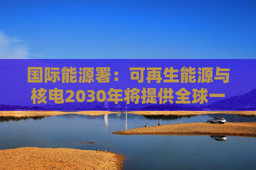 国际能源署：可再生能源与核电2030年将提供全球一半电力