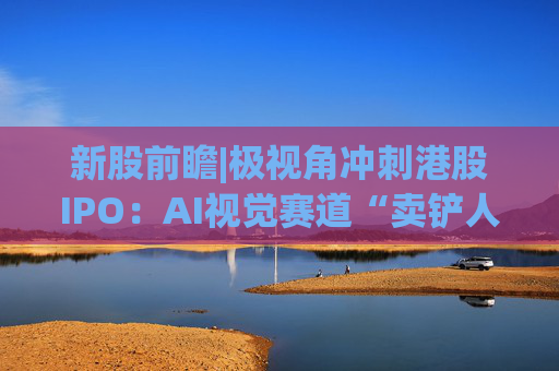 新股前瞻|极视角冲刺港股IPO：AI视觉赛道“卖铲人”潜力可期，盈利波动困境难解