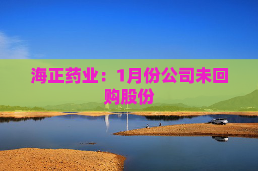 海正药业：1月份公司未回购股份