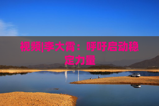 视频|李大霄：呼吁启动稳定力量