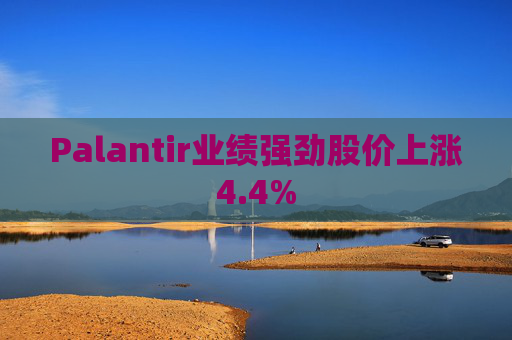 Palantir业绩强劲股价上涨4.4%