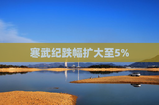 寒武纪跌幅扩大至5%