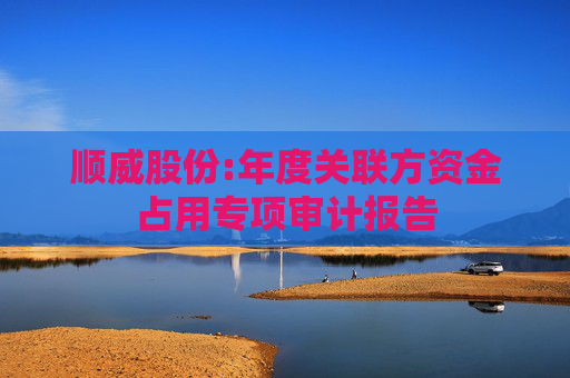 顺威股份:年度关联方资金占用专项审计报告