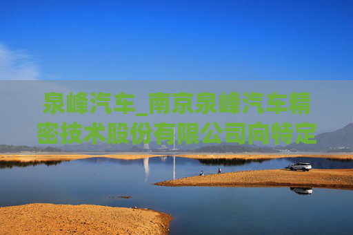泉峰汽车_南京泉峰汽车精密技术股份有限公司向特定对象发行股票证券募集说明书（申报稿）