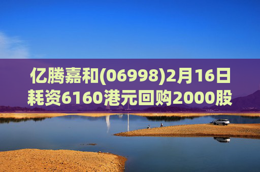 亿腾嘉和(06998)2月16日耗资6160港元回购2000股