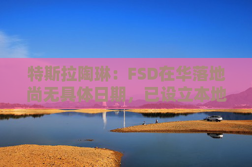 特斯拉陶琳：FSD在华落地尚无具体日期，已设立本地训练中心