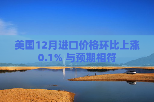 美国12月进口价格环比上涨0.1% 与预期相符