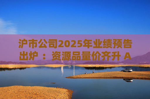 沪市公司2025年业绩预告出炉 ：资源品量价齐升 AI链景气延续