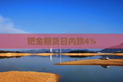 钯金期货日内跌4%