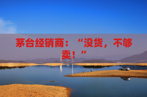 茅台经销商：“没货，不够卖！”