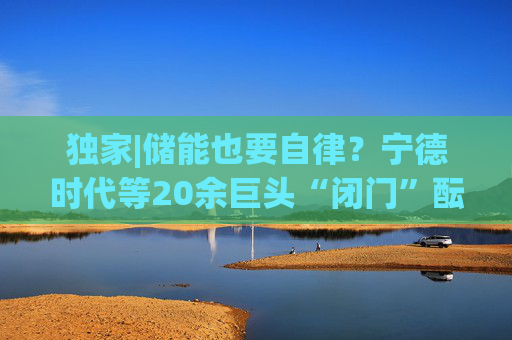 独家|储能也要自律？宁德时代等20余巨头“闭门”酝酿倡议  第1张