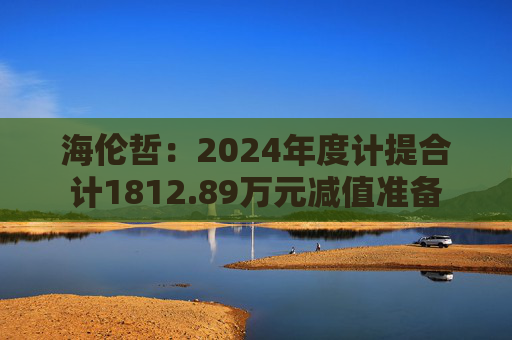 海伦哲：2024年度计提合计1812.89万元减值准备  第1张