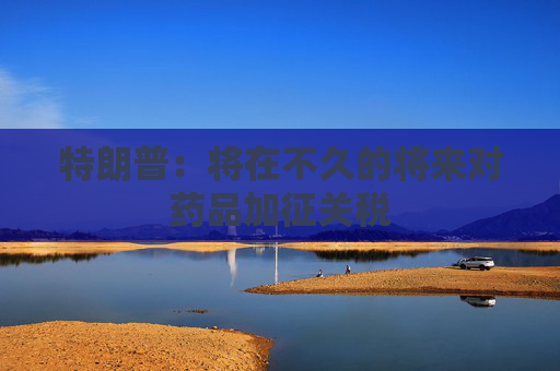 特朗普：将在不久的将来对药品加征关税