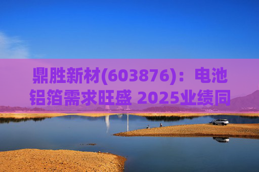 鼎胜新材(603876)：电池铝箔需求旺盛 2025业绩同比高增